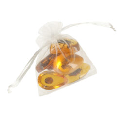 Väljakaevamiskomplekt - putukad merevaigus – Soodukas.Com Väljakaevamiskomplekt - putukad merevaigus Soodukas.Com