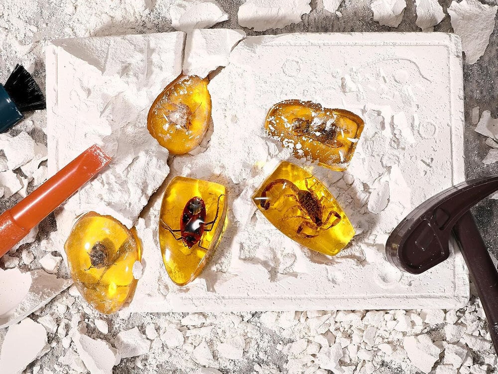 Väljakaevamiskomplekt - putukad merevaigus - Image 3