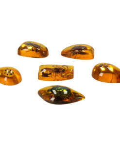 Valjakaevamiskomplekt 11