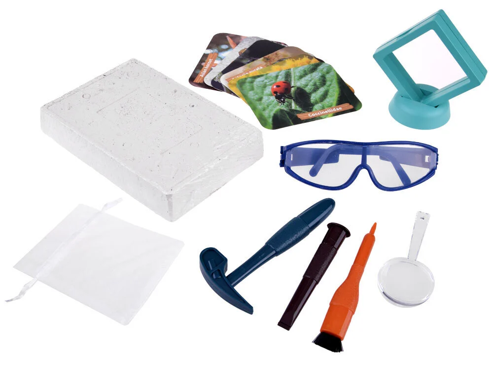 Väljakaevamiskomplekt - putukad merevaigus - Image 14