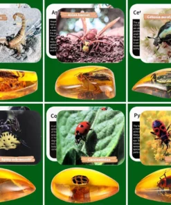 Valjakaevamiskomplekt 4