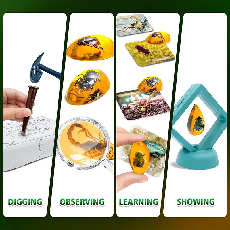 Väljakaevamiskomplekt - putukad merevaigus - Image 4