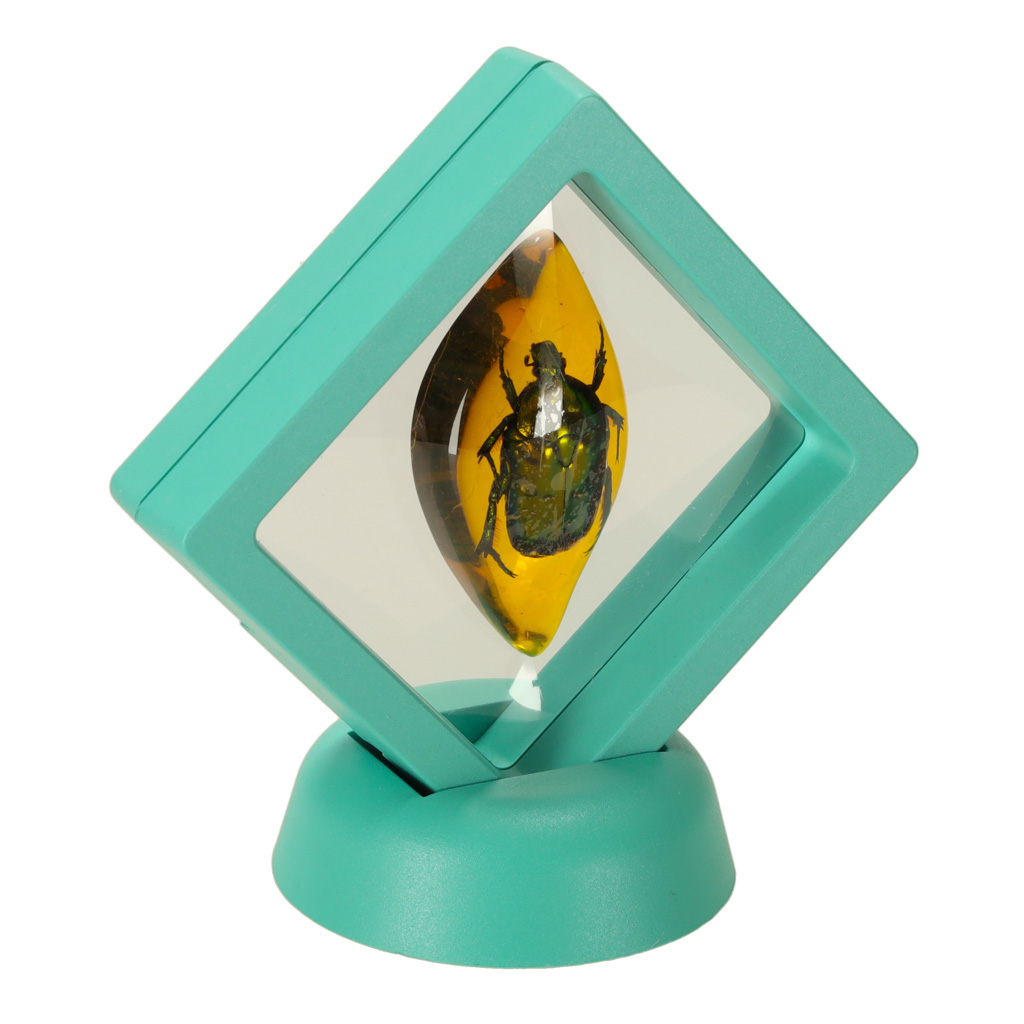 Väljakaevamiskomplekt - putukad merevaigus - Image 13