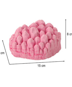 Valjakaevamiskomplekt poolvaariskividega 11