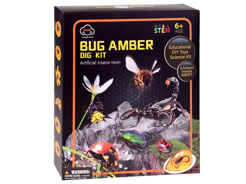 Väljakaevamiskomplekt - putukad merevaigus - Image 6