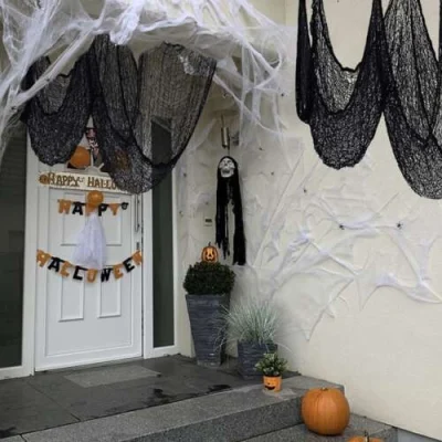 Alternative view of Ämblikuvõrk - Halloween dekoratsioon
