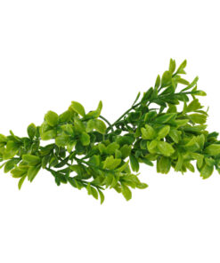 041120246728c9f6e667b