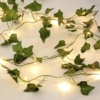 luuderohu vaadid LED valgustusega 3