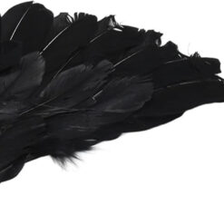 Mustad sulgedest inglitiivad Soodukas.Com