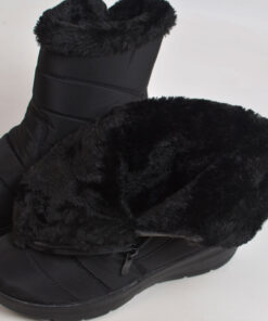 Alternative view of Talvesaapad