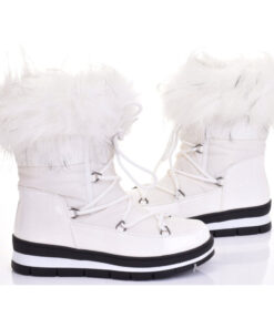 Alternative view of Talvesaapad