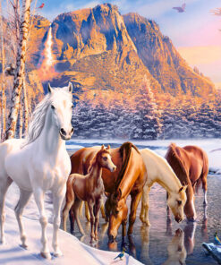 Alternative view of Pusle 500tk