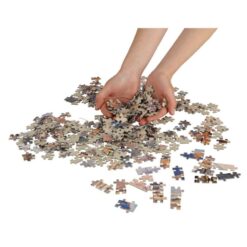 Pusle 500tk Soodukas.Com