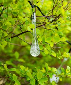 paikesepatareiga ouevalgusti 5