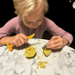 Alternative view of Väljakaevamiskomplekt dinosaurustega 12tk