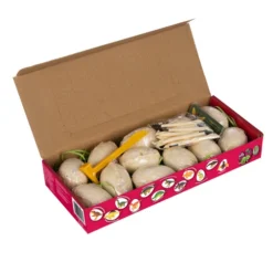 Väljakaevamiskomplekt dinosaurustega 12tk Soodukas.Com