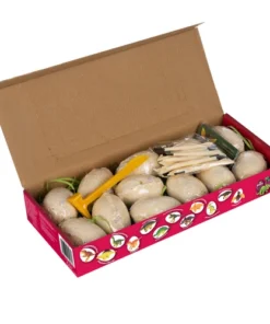 valjakaevamiskomplekt dinosaurustega 13