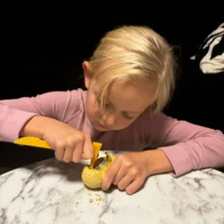 Väljakaevamiskomplekt dinosaurustega 12tk Soodukas.Com