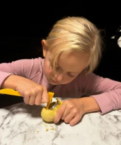 valjakaevamiskomplekt dinosaurustega 16