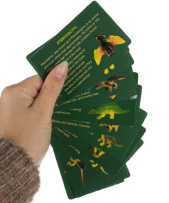 valjakaevamiskomplekt dinosaurustega 3