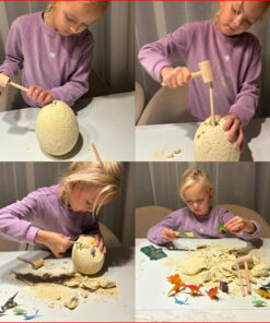 Alternative view of Väljakaevamiskomplekt dinosaurustega