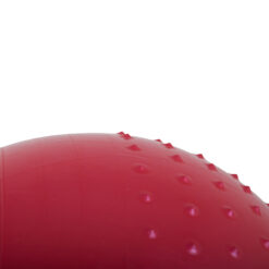 Võimlemispall 65cm + pump Soodukas.Com