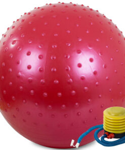 Võimlemispall 65cm + pump