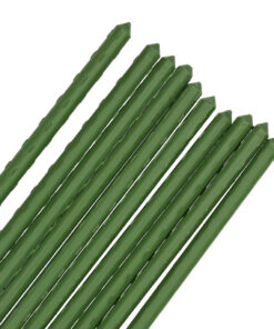 21012025678f9b0bcb937