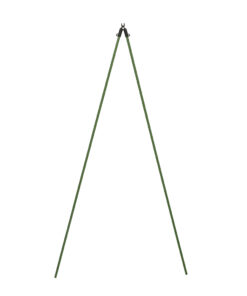 21012025678f9b0c79cae