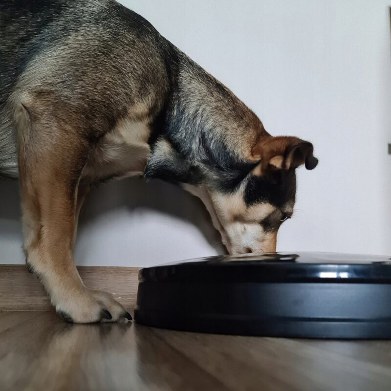 Automaatne taimeriga söötur lemmikloomadele - Image 12