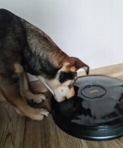 automaatne sootur lemmikloomadele 3