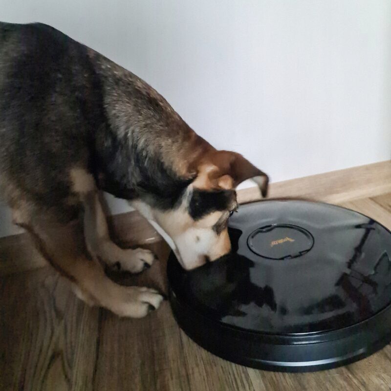 Automaatne taimeriga söötur lemmikloomadele - Image 3