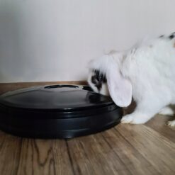 Automaatne taimeriga söötur lemmikloomadele Soodukas.Com