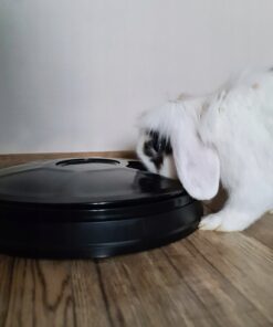 automaatne sootur lemmikloomadele 5