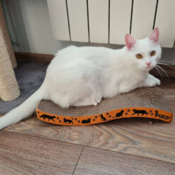 Alternative view of Kassi kraapimismatt