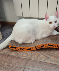 Alternative view of Kassi kraapimismatt