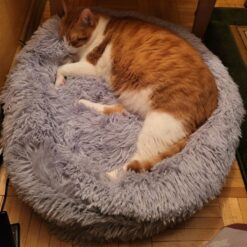 Koerapesa / kassipesa 60cm Soodukas.Com