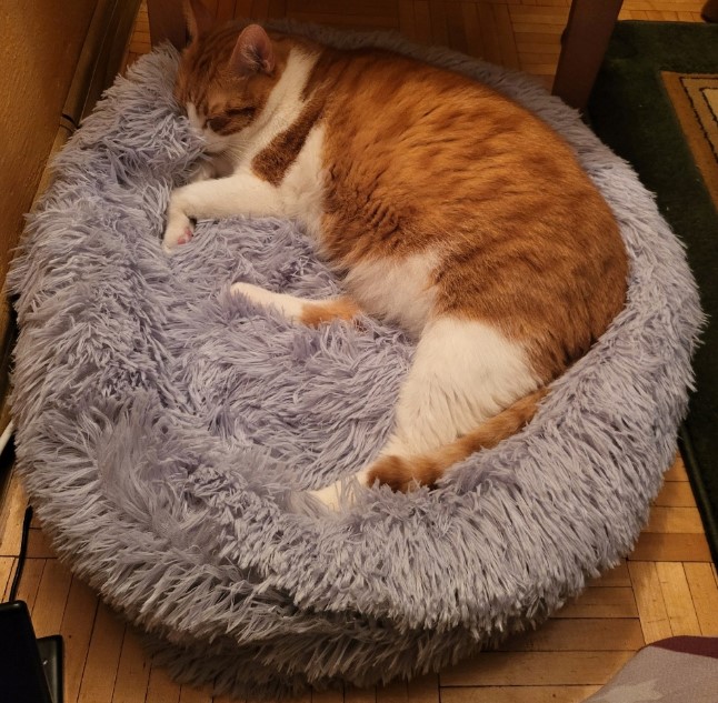 Koerapesa / kassipesa 60cm - Image 8