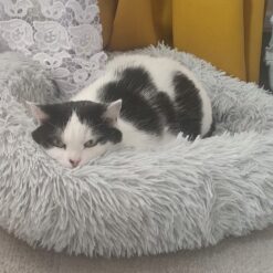 Koerapesa / kassipesa 60cm Soodukas.Com