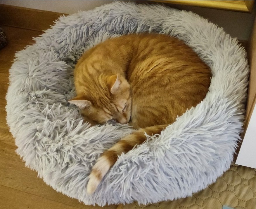 Koerapesa / kassipesa 60cm - Image 5