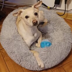 Alternative view of Koerapesa / kassipesa 60cm