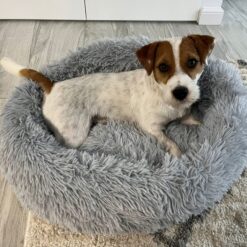 Koerapesa / kassipesa 60cm Soodukas.Com