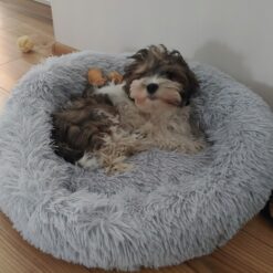 Koerapesa / kassipesa 60cm Soodukas.Com