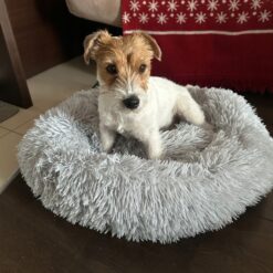 Koerapesa / kassipesa 60cm Soodukas.Com