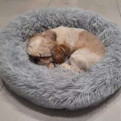 Koerapesa / kassipesa 60cm Soodukas.Com