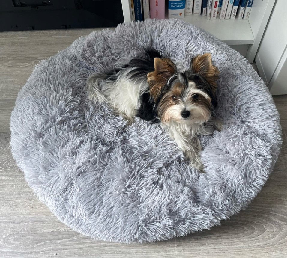 Koerapesa / kassipesa 60cm - Image 14