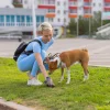 koera valjaheidete kotid 4