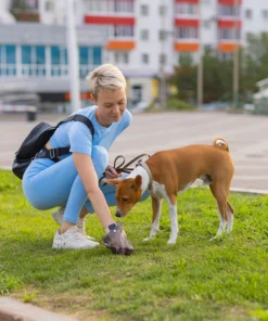 koera valjaheidete kotid 4