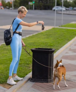 koera valjaheidete kotid 5