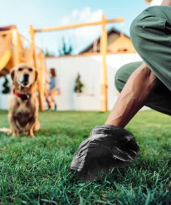 koera valjaheidete kotid 6